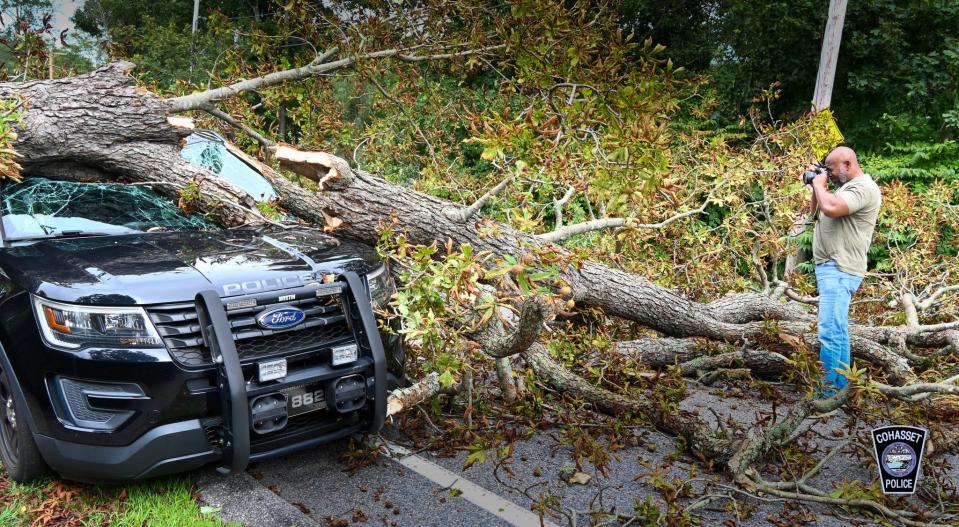 A falling tree crushed a Cohasset police cruiser on Saturday, Sept. 16, 2023. No one was injured.