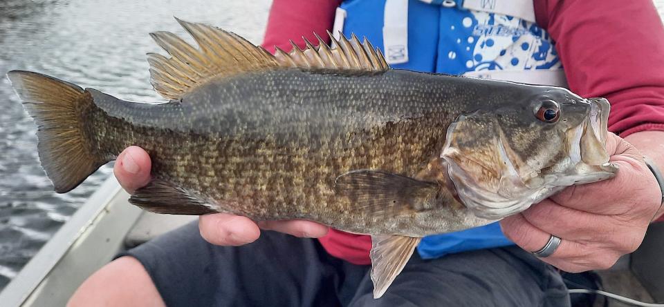 Smallmouth bass are plentiful in many lakes and rivers across Pennsylvania.