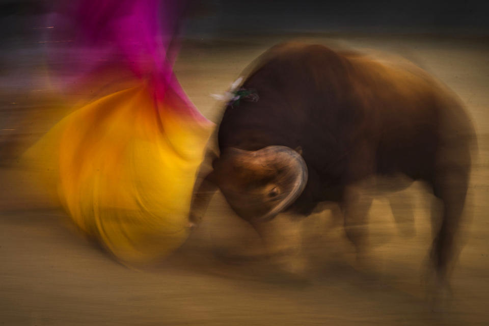 <p>Spanish bullfighter Juan del Alamo during a bullfight at Las Ventas bullring in Madrid, May 12, 2015. (Photo: Daniel Ochoa de Olza/AP) </p>