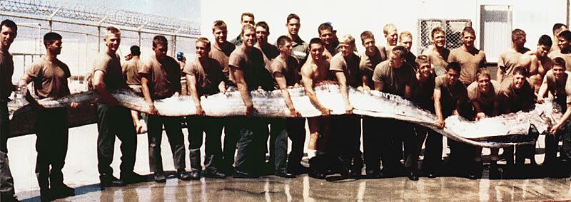 皇帶魚是世界上最長的硬骨魚類。（圖／翻攝自維基百科）