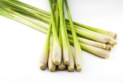 Lemongrass