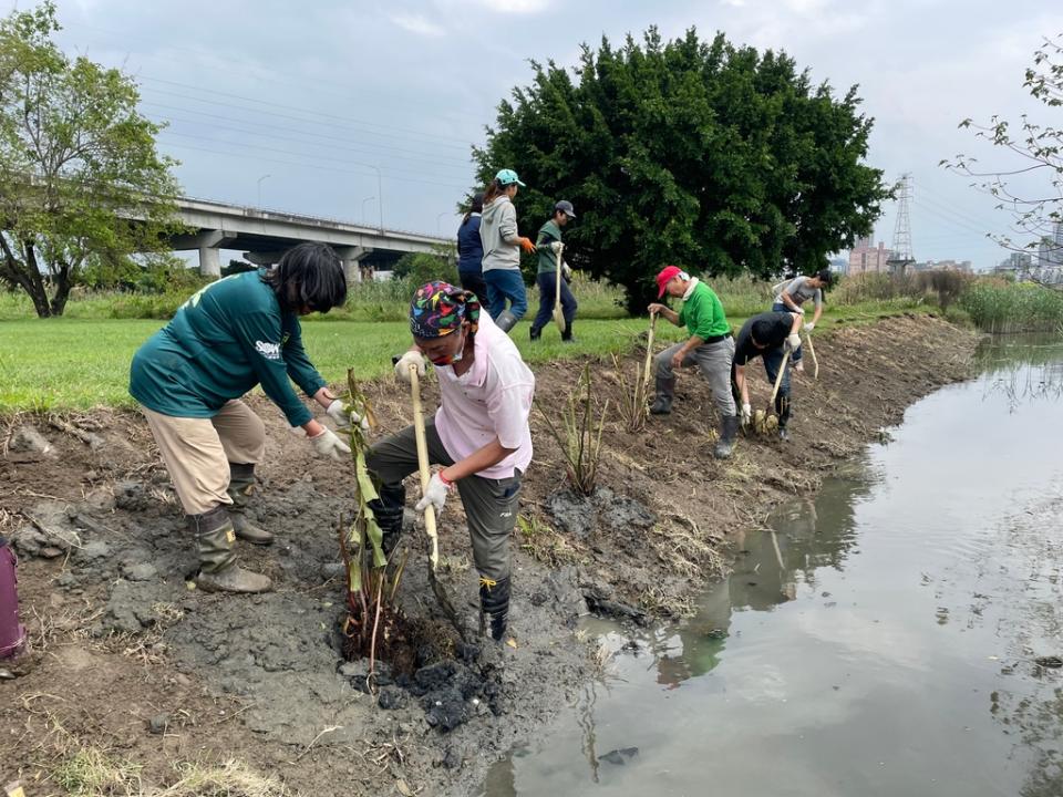 《圖說》民眾一同來進行鹵蕨移植與復育工作。〈高灘處提供〉