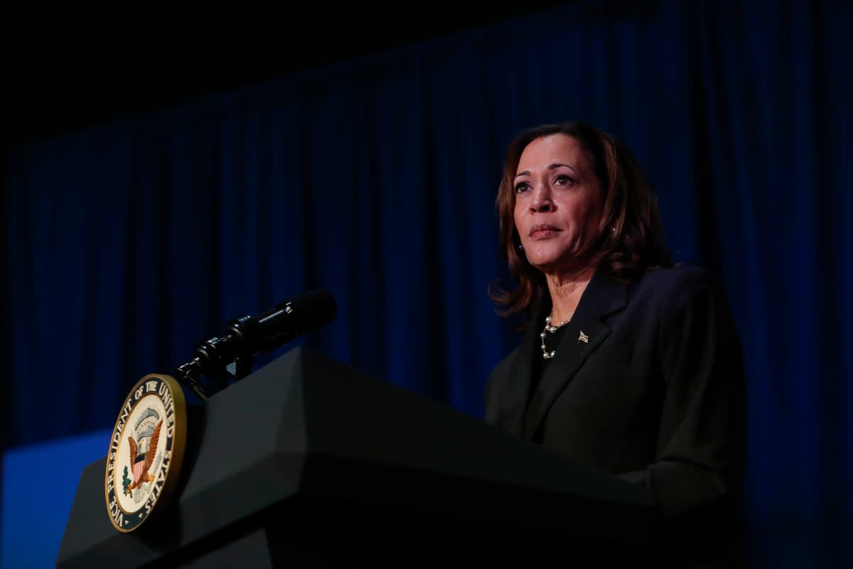 US Vice President Kamala Harris thanked President Joe Biden for her endorsement on Sunday  ((Photo by Chris duMond/Getty Images))