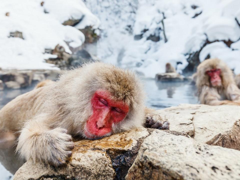 Ein heißes Bad hilft immer. (Bild: BlueOrange Studio/Shutterstock.com)