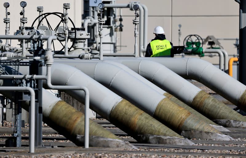 FILE PHOTO: Pipes at the landfall facilities of the 'Nord Stream 1' gas pipline in Lubmin