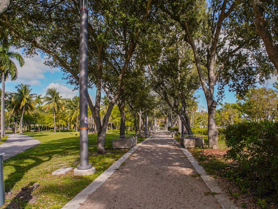 A shady walk way in a Coconut Grove park