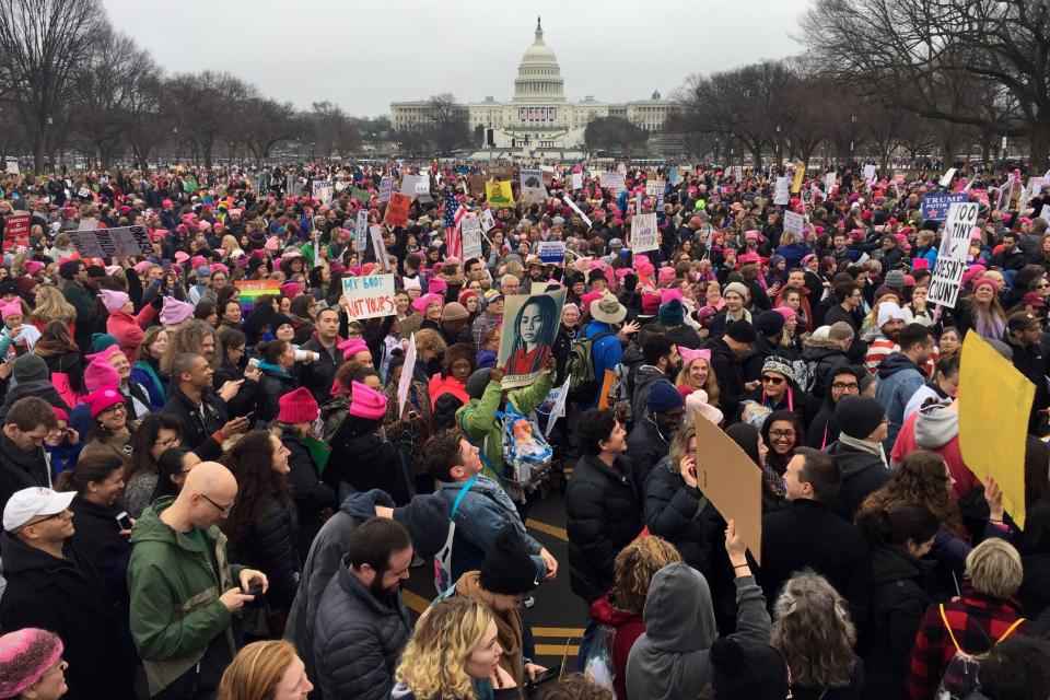 Demonstrators protest on the National Mall in Washington, DC, for the Women's march on January 21, 2017.&nbsp;