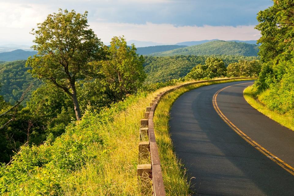 Late afternoon sunshine on the Blue Ridge Parkway after a rain shower, several miles south of I-64 in Virginia