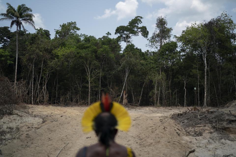 FILE - In this Aug. 31, 2019 file photo, Krimej Indigenous Chief Kadjyre Kayapo looks out at a path created by loggers on the border between the Biological Reserve Serra do Cachimbo, front, and Menkragnotire indigenous lands, in Altamira, Para state, Brazil. More than a dozen Senate Democrats sent a letter to U.S. President Joe Biden on Friday, April 16, 2021, complaining of a woeful environmental track record by his Brazilian counterpart, Jair Bolsonaro, and urging him to condition any support for Amazon preservation on significant progress reducing deforestation. (AP Photo/Leo Correa, File)