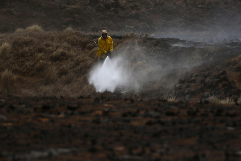 A Big Island firefighter puts out a blaze near Waimea, Hawaii, on Thursday, Aug. 5, 2021. The area was scorched by the state's largest ever wildfire. (AP Photo/Caleb Jones)
