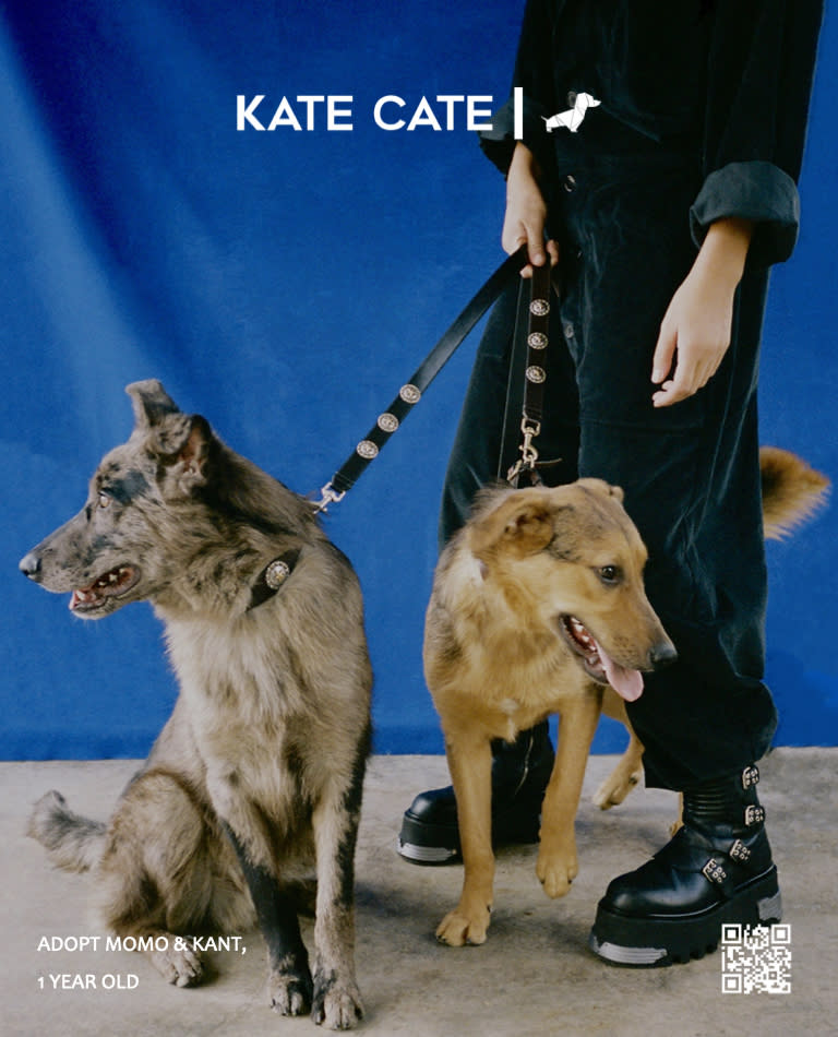 The Kate Cate x Poldo Dog Couture ad campaign.