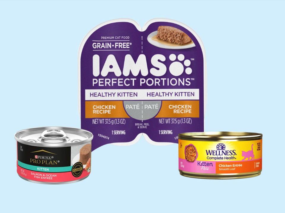 Two cans of wet kitten food from Wellness and Purina and a tray of Iams wet kitten food are on a blue background.