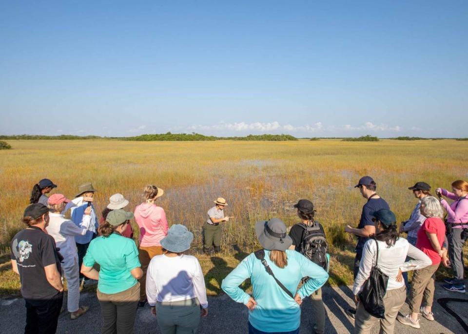 Tropical Audubon Ambassadors learn about the River of Grass with an Everglades National Park Ranger during a field trip to the iconic South Florida ecosystem.