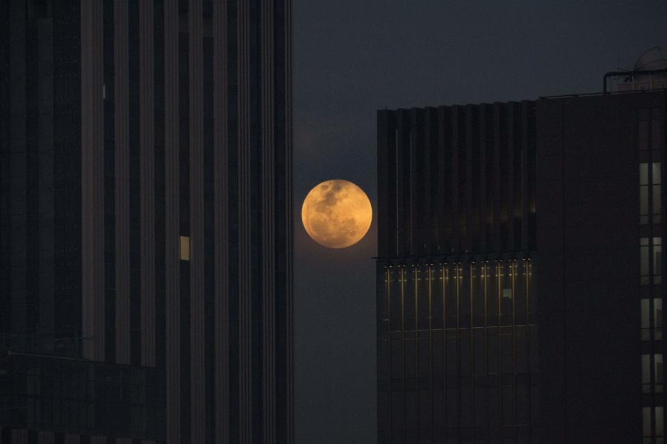 The "super blood blue moon" is seen from Bangkok's cityscape.&nbsp;