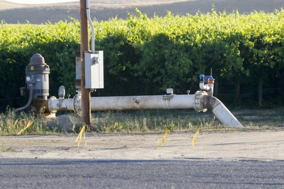 An electric powered well near Highway 41 near Shandon services a vineyard.