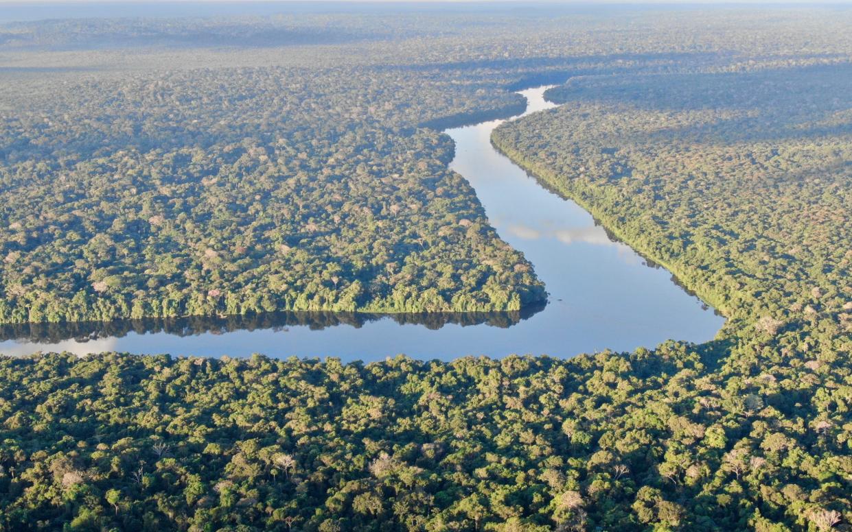 Drone images of Pusada Taimacu and the Amazon