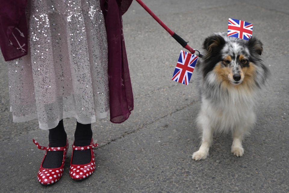 A dog wears Union flags as he attends the Big Lunch celebration in Alfriston in East Sussex, England, Sunday, May 7, 2023. The Big Lunch is part of the weekend of celebrations for the Coronation of King Charles III. (AP Photo/Kirsty Wigglesworth)