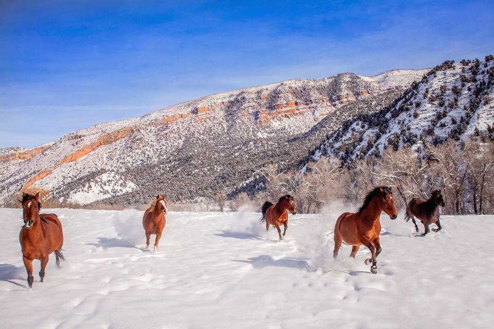 27 Photos That’ll Make Winter Your Favorite Season