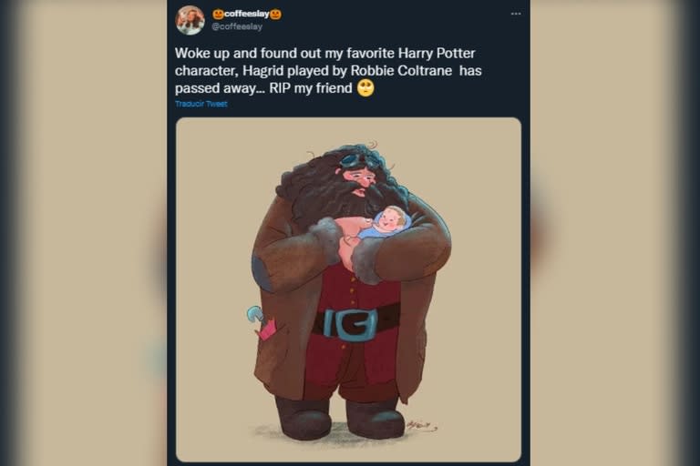 Los fans de Harry Potter se despidieron del actor con emotivos posteos (Foto: Captura de Twitter)