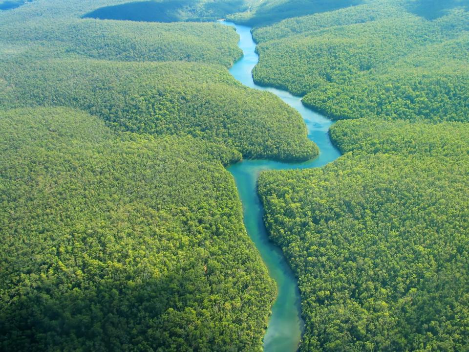 The Amazon is among the rainforests most at risk from rising temperatures: Getty