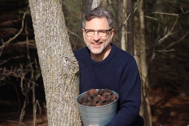 Mike Trinklein holds some of his walnut crop at Stonecroft Farms in Grafton. He's a farmer and filmmaker working on permaculture and experimenting with growing everything from walnuts, hazelnuts, pears, and peaches to honeyberries, aronia and lavender.