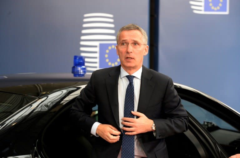 NATO Secretary General Jens Stoltenberg urges the alliance to step up in its fight against IS