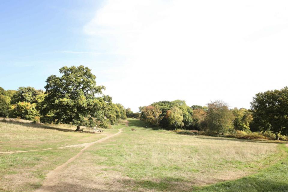 Watford Observer: Chorleywood Common.