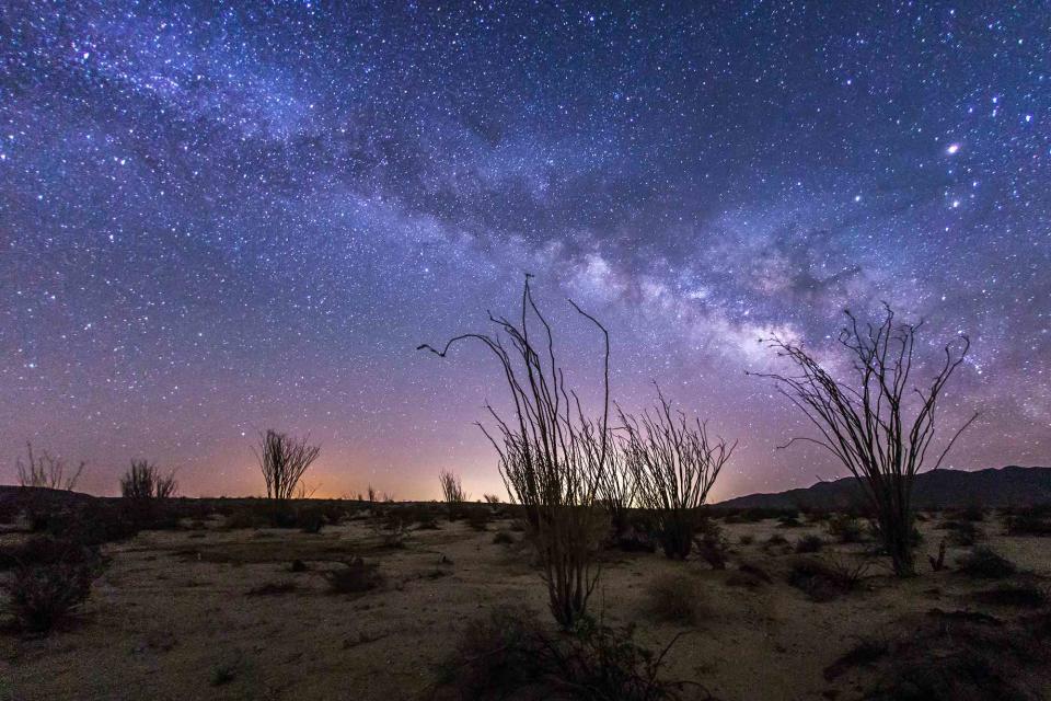 This Attractive California State Park Was Simply Named the Greatest Place for Stargazing within the U.S.