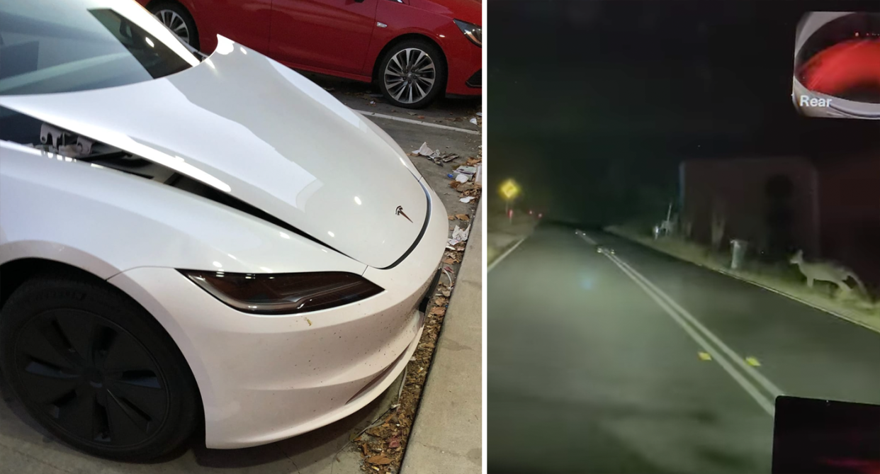 The Tesla's white bonnet sticking out after the safety feature called 'active hood' was activated on Tuesday (left). The driver shared footage captured by the electric vehicle of the kangaroo jumping out in front of his car on a rural NSW road (right). 