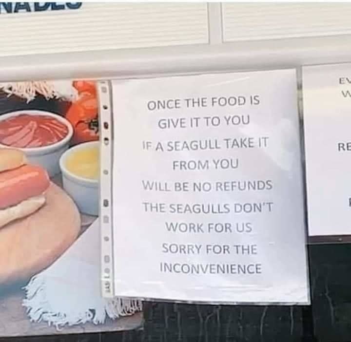 sign about seagulls stealing food and that there "will be no refunds the seagulls don't work for us sorry for the inconvenience"