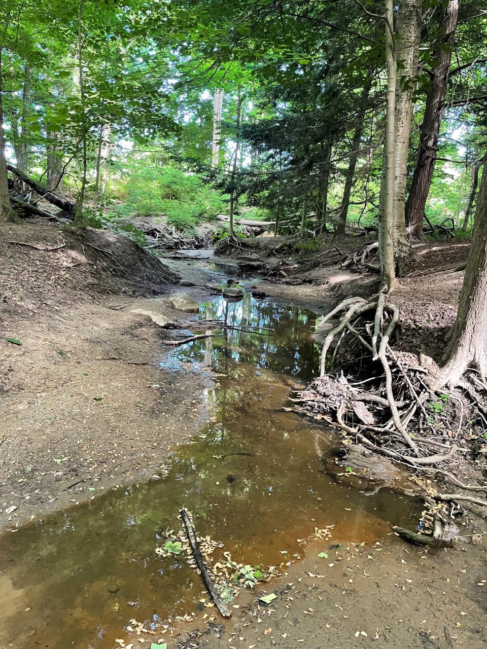 A stream in Wolters Woods Park in Laketown Township. The park was dedicated 30 years ago as a way to maintain nature in the fast-growing township.
