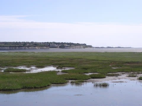 Sandwich (Kent Wildlife Trust)