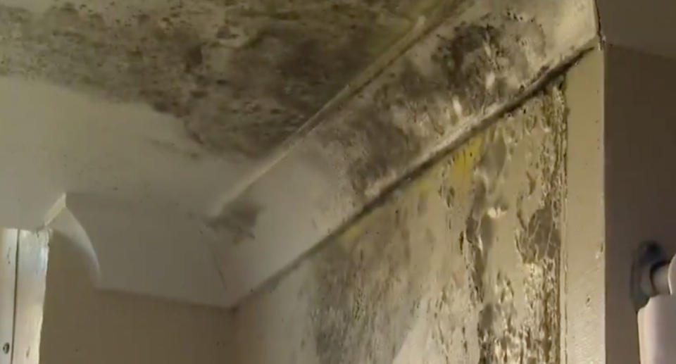 Mould shown built up on the walls and ceiling inside a government housing unit in Sydney.