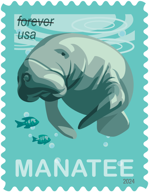 The U.S. Postal Service revealed dozens of stamp designs for 2024 on Oct. 23. The Save Manatees stamp features a digital rendering of a manatee lolling the near the water's surface and aims to raise awareness about the threats the marine mammal faces.