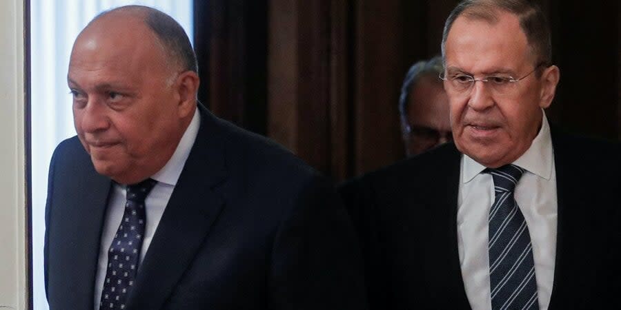 Sameh Shoukry and Serhiy Lavrov