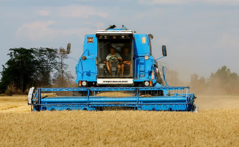 FILE PHOTO: Farmers harvest wheat in Kherson region