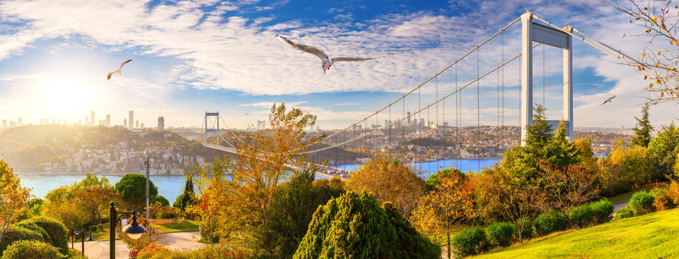 Beautiful panorama of Istanbul and the Second Bosphorus Bridge, Turkey.