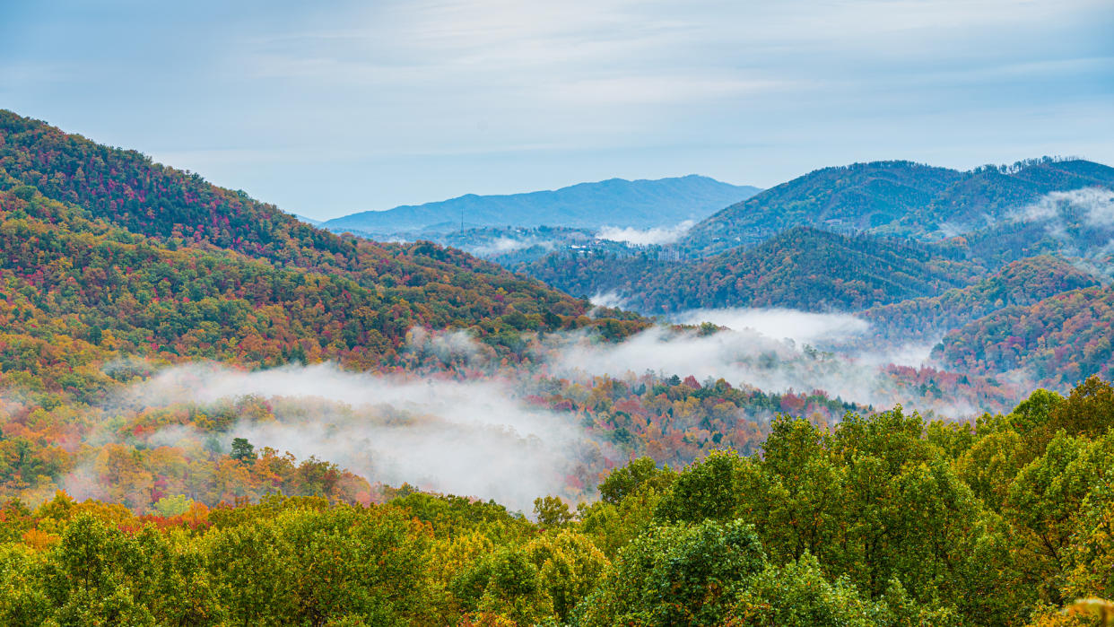  Fighting Creek Gap Road in the Great Smoky Mountains National Park, Tennessee. 