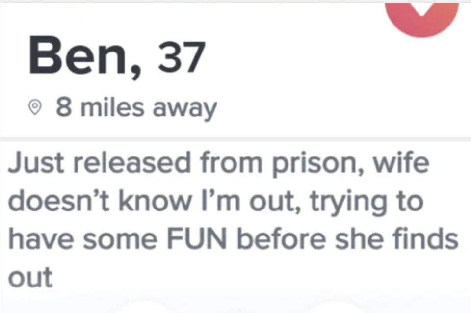 dating app bio reads, just released from prison, wife doesn't know i'm out, trying to have some fun before she finds out