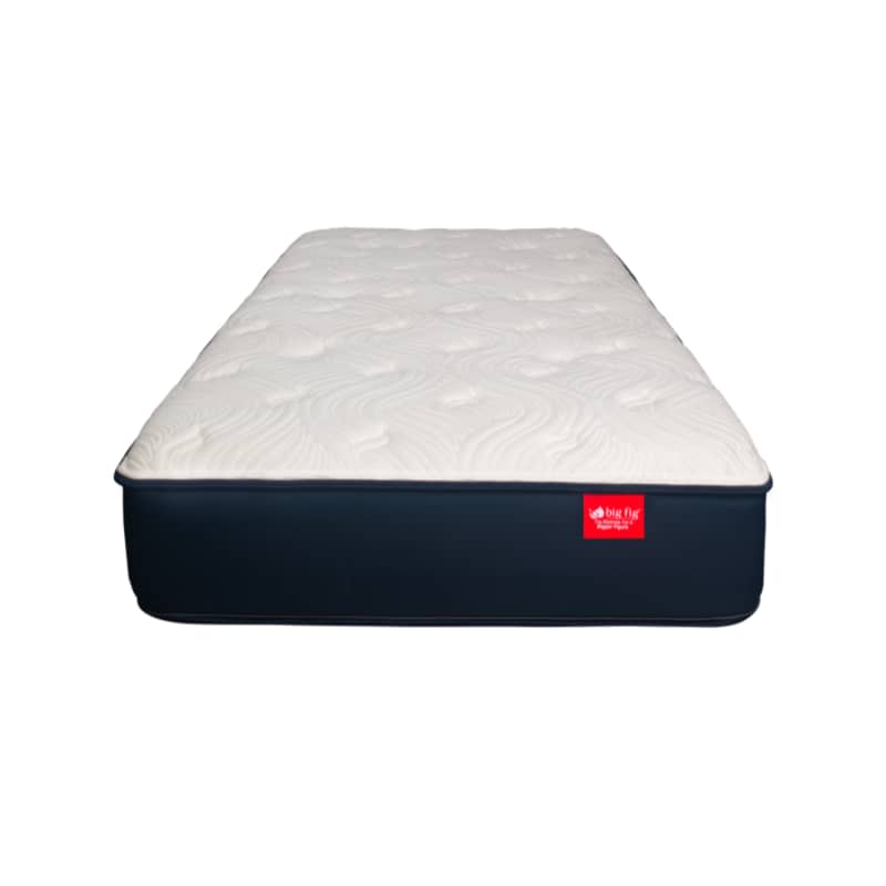 Big Fig Mattress, Twin