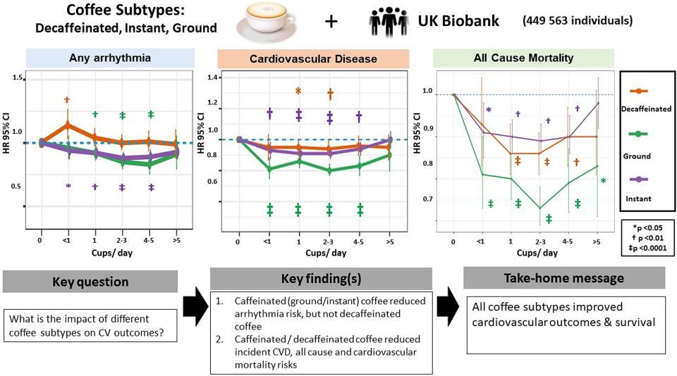 Coffee subtypes and associations with incident arrhythmia, CVD, and mortality. Caffeinated (ground/instant) but not decaffeinated coffee reduced the risk of arrhythmia. Both caffeinated and decaffeinated coffee reduced incident CVD and all-cause and cardiovascular mortality risks. / Credit: European Journal of Preventive Cardiology