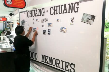 A woman places pictures on a board days after the 19-year-old panda Chuang Chuang died at the Chiang Mai zoo, Chiang Mai