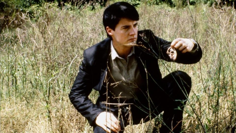 Jeffrey (Kyle MacLachlan) crouches in an empty field and picks up a severed human ear in David Lynch's Blue Velvet.