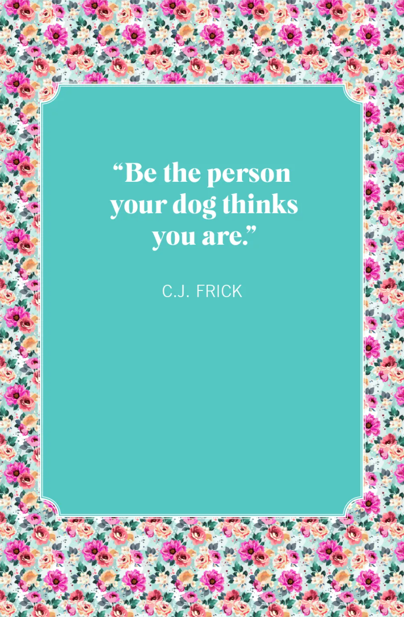 dog mom quotes cj frick