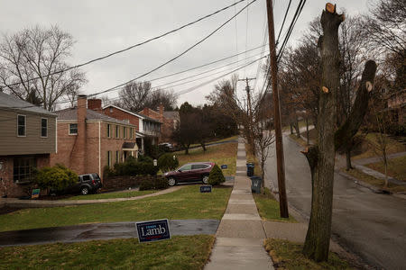 Yard signs showing support for Congressional candidate Conor Lamb adorn residences in Bethel Park, Pennsylvania, U.S., February 15, 2018. Picture taken February 15, 2018. REUTERS/Maranie Staab