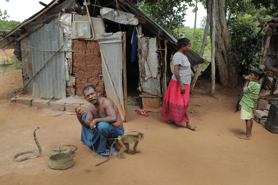 A Sri Lankan Telugu man Muniyandige Thimmanna, left, checks his cobra and monkey Ramesh as his wife Thimmakka Anuwatthuge, background, comes out of a cottage in their colony in Nachchikulama, Sri Lanka, Tuesday, June 9, 2020. Sri Lanka's Telugu community, whose nomadic lifestyle has increasingly clashed with the modern world, is facing another threat that could hasten its decline: the COVID-19 pandemic. (AP Photo/Eranga Jayawardena)