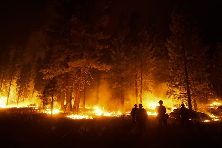 En esta fotografía de archivo del 1 de septiembre de 2021, un grupo de bomberos prende fuego a una franja de arboles para contener la propagación del incendio Caldor cerca de South Lake Tahoe, California. 