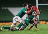 Autumn Nations Cup - Ireland v Wales