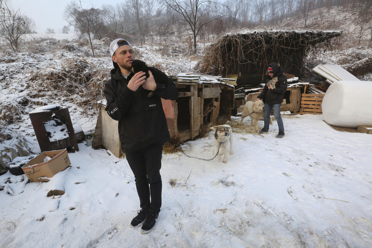 In this Friday, Feb. 23, 2018, photo, American freestyle skier Gus Kenworthy, left, and his boyfriend Matthew Wilkas visit a dog meat farm in Siheung, South Korea. Kenworthy saved five stray dogs during the Sochi Olympics four years ago and is considering adopting one of the many puppies he met Friday after finishing competition the Pyeongchang Games. (AP Photo/Ahn Young-joon)