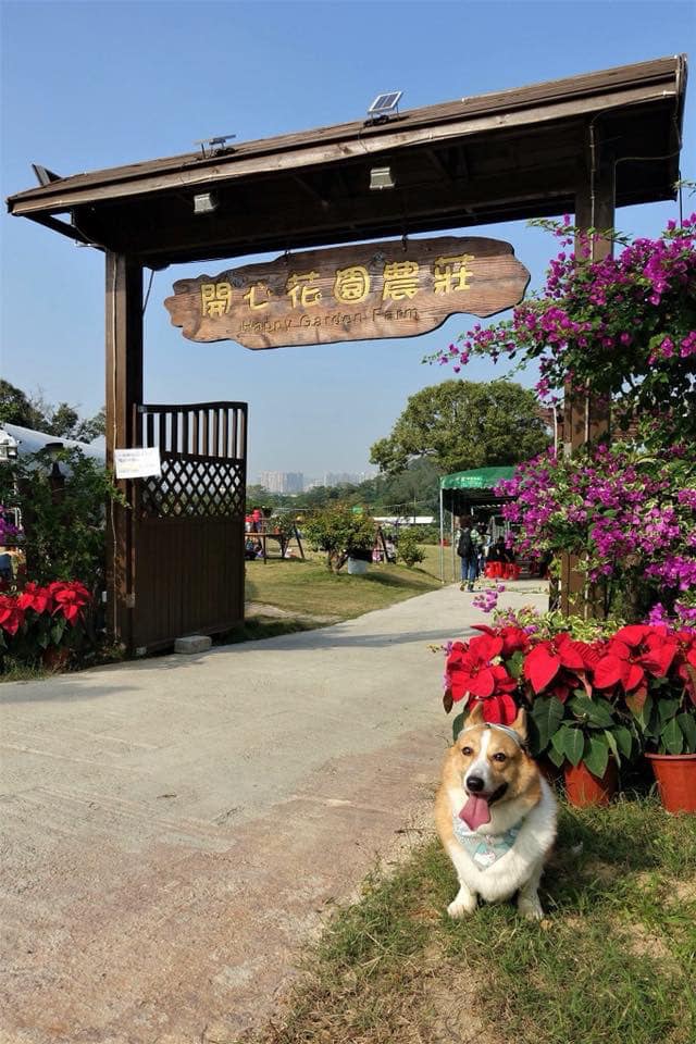 開心花園農莊